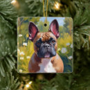 Pesquisar por francês ornamentos Cachorro