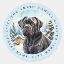 Pesquisar por cane corso adesivos Cães