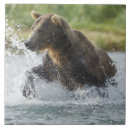 Pesquisar por salmão azulejos Pesca