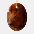 Pesquisar por irlandês ornamentos Cães