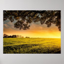 Pesquisar por paisagem rural pôsteres Natureza