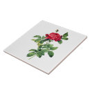 Pesquisar por rosa vermelha azulejos Qualquer pessoa