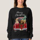 Pesquisar por christmas roupas Melhor venda