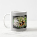 Pesquisar por pinho cones canecas Natureza