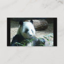 Pesquisar por urso panda cartao de visita Negócio