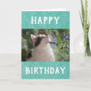 Pesquisar por mundo animal cartoes Animal de estimação
