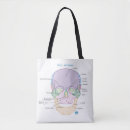 Pesquisar por anatomia humana bolsas Ciência