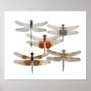 Pesquisar por libélula pôsteres Inseto