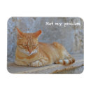 Pesquisar por dubrovnik imas Croácia