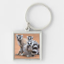Pesquisar por lemur chaveiros Animais