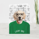 Pesquisar por camisetas engraçadas cartoes Humor