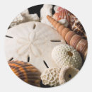 Pesquisar por close up adesivos Sorvido