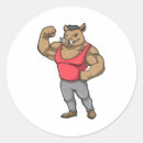 Pesquisar por músculos adesivos Carroça