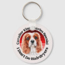 Pesquisar por cavalier king charles chaveiros Cavaleiro charles spaniel
