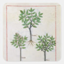 Pesquisar por medicinais adesivos Cura