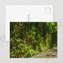 Pesquisar por samambaia vermelha cartoes postais Verde