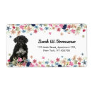 Pesquisar por português cão água Porca