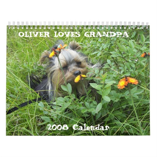000_0011, OLIVER AMA o VOVÔ, calendário 2008 (Capa)