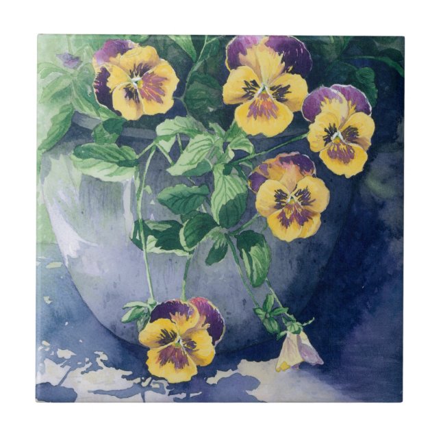0011 Pansies em Planter (Frente)