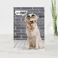100º Cartão de Retriever de Ouro Engraçado de Aniv