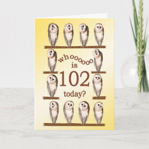 102º aniversário, Cartão Curioso das Corujas.