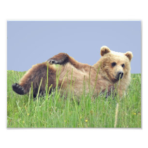 10" x 8", papel profissional da foto de Kodak