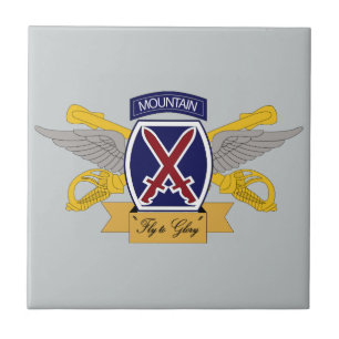 10o Aviação da divisão da montanha (AVN)