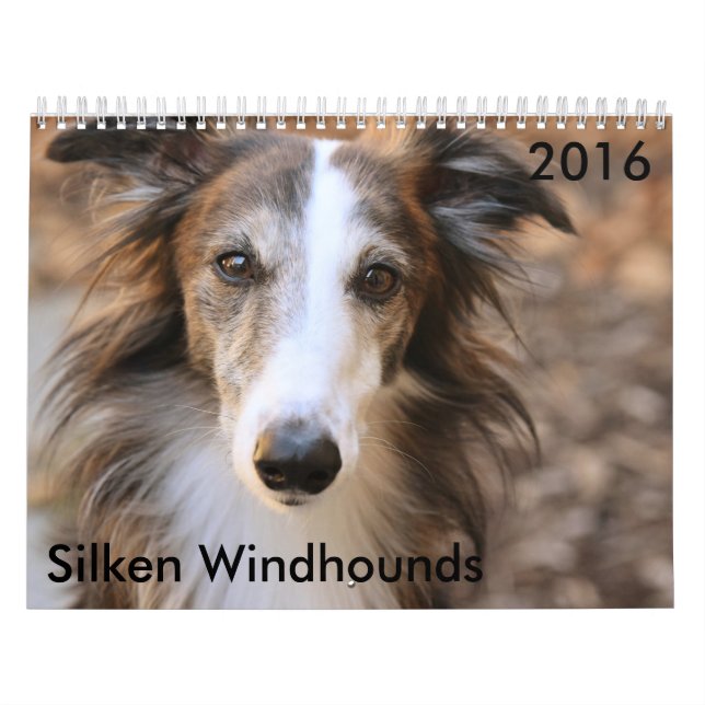 11 2016 calendários macios de Windhounds (Capa)