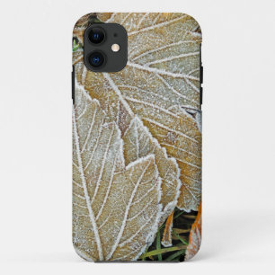 11 Capa Casemate para iPhone 5 Frozen Maple
