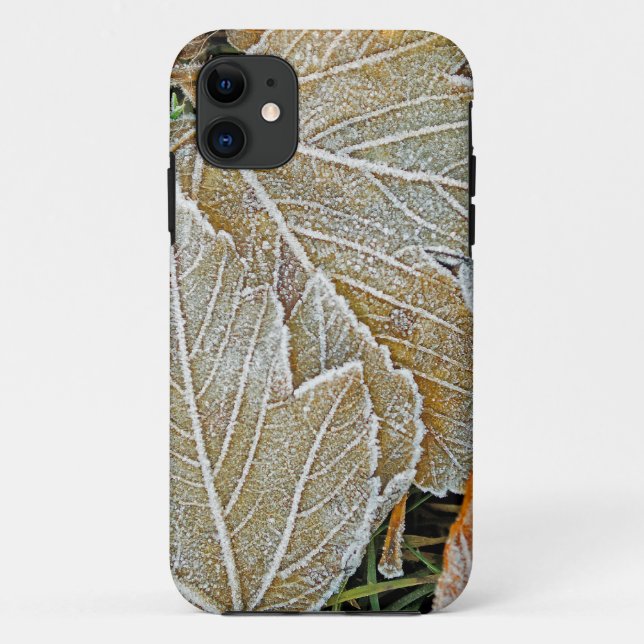 11 Capa Casemate para iPhone 5 Frozen Maple (Verso)