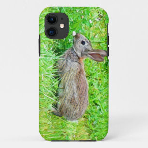 11 capa para iPhone