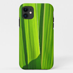 11 Capa para iPhone 5 folhas de milho verdes