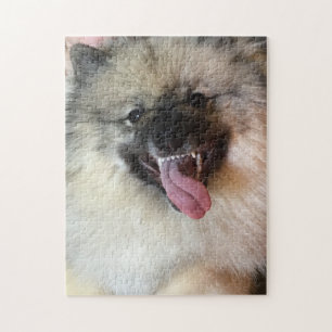 11" x 14" o quebra-cabeça 252 do Keeshond remenda