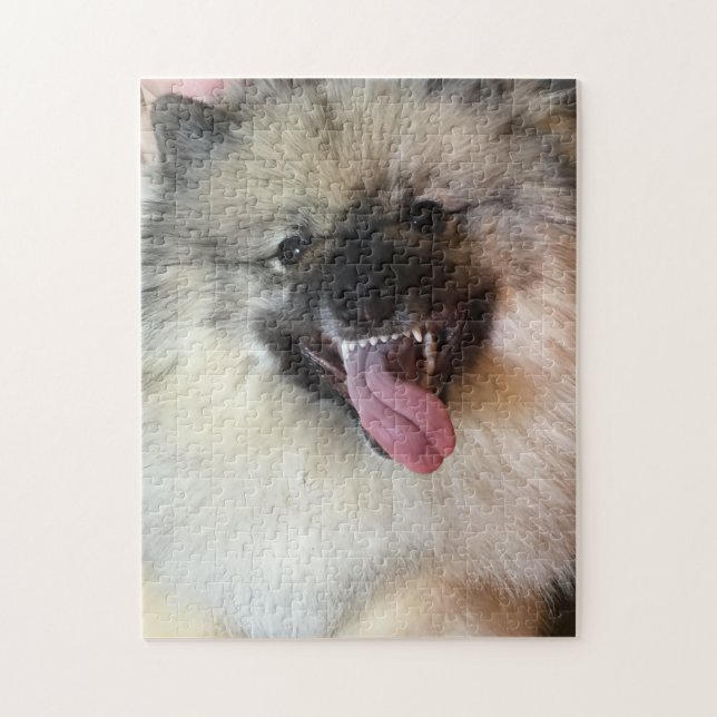 11" x 14" o quebra-cabeça 252 do Keeshond remenda (Vertical)