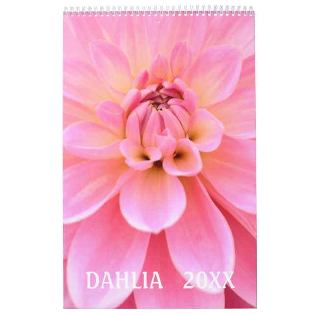 12 meses Belo Calendário Fotográfico Dahlia (Capa)