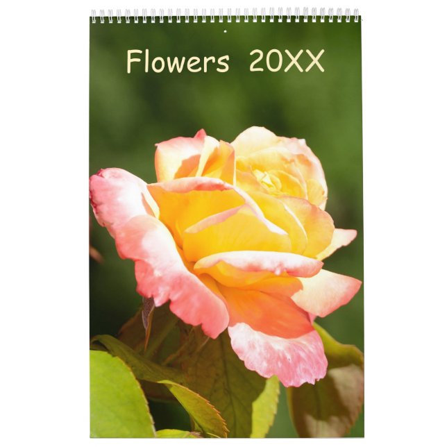 12 meses Calendário das flores (Capa)