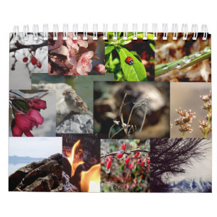 12 meses calendário holandês/holandês do ano