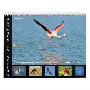 12 meses de calendário dos animais em ação