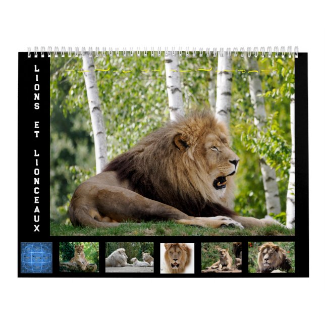12 meses de calendário Família de leões (Capa)