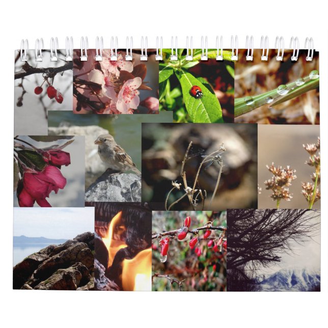 12 meses do calendário de Nova Zelândia do ano (Verso)