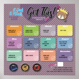 12 OBJETIVOS EM 12 MESES DESAFIO POSTER