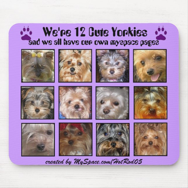 12 YORKIES BONITOS - Mousepad personalizado (Frente)