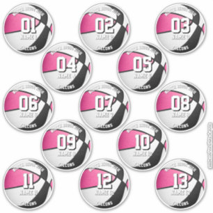 13 adesivos de basquete cores de time rosa preto