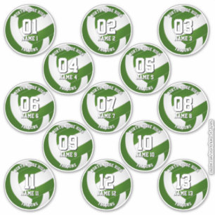 13 adesivos de voleibol verde, um para cada atleta