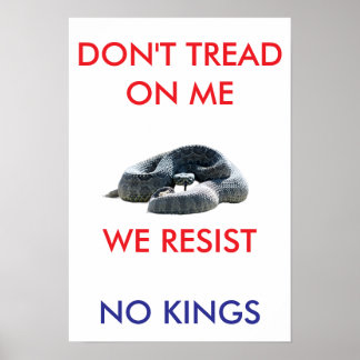 13 X 19 archival hearvy matte paper rally poster