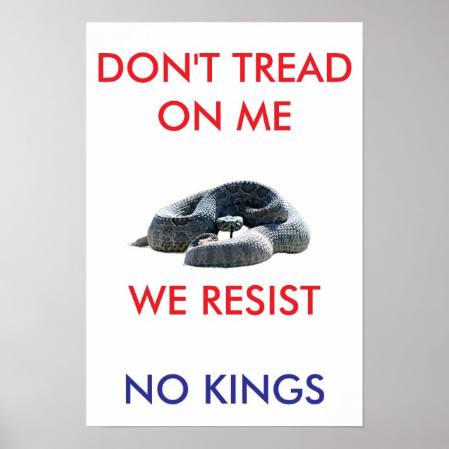 13 X 19 archival hearvy matte paper rally poster (Frente)