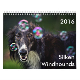 14 2016 calendários macios de Windhounds