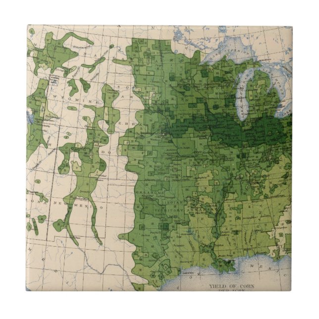 155 milhos/acre (Frente)