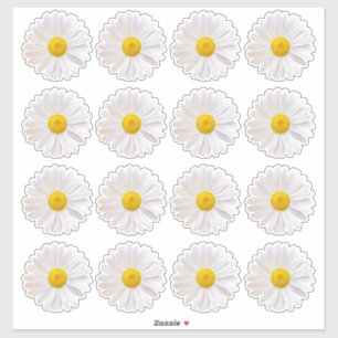 16 adesivos de corte de beijo de flor de margarida