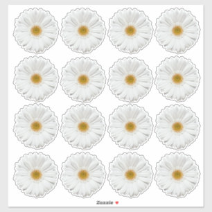 16 adesivos de corte de flor de gerbera branca